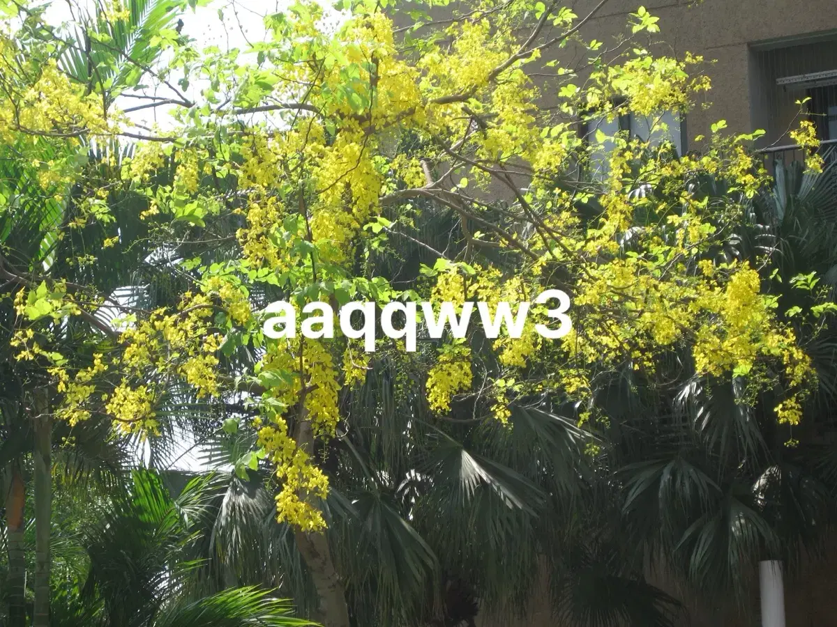 thumbnail-8